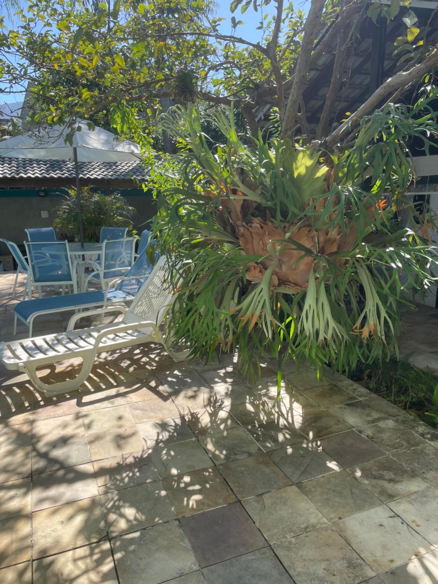 Magnifica Casa Na Barra Da Tijuca * Rio de Janeiro